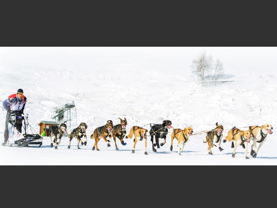 ACCESS CREDITS PRO soutient Rémy Coste pour la Grande Odyssée CrediPro